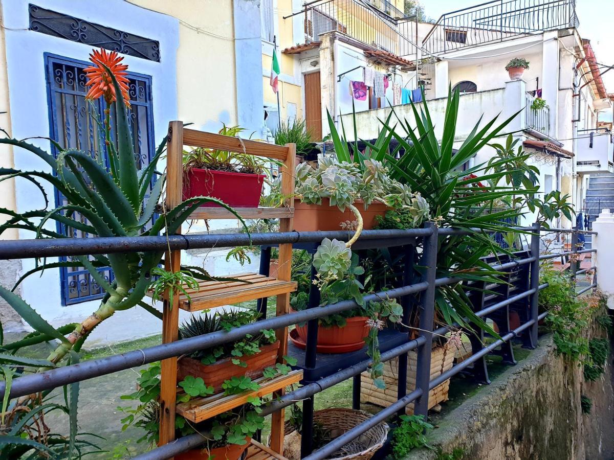 2 Bed Apartment In The Historical Center Pizzo Pizzo  Kültér fotó